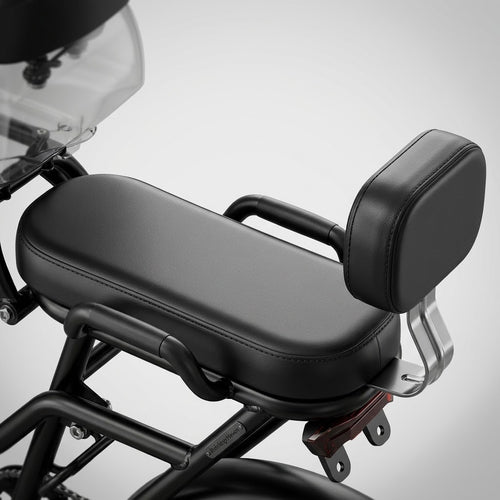 Rear Padded Bench